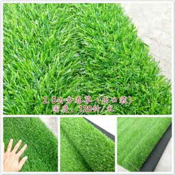 陇南 汽车绿地毯 绿化草坪 企业
