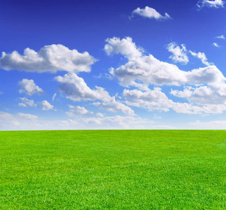 绿色的草地和着朵朵白云的蓝天